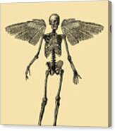 Angel Skeleton Canvas Print