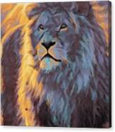 Animal Abstract Art - Male Lion Sunset Canvas Print