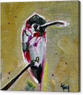 Annas Hummingbird Canvas Print