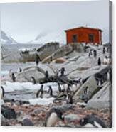 Antarctica: Petermann Island Canvas Print