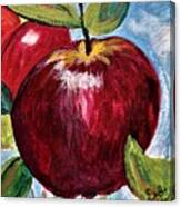 Apple Season Canvas Print