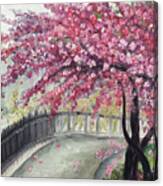 April In Paris Cherry Blossoms Canvas Print
