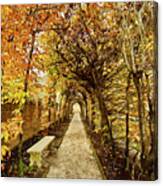 Arbor In Autumn Canvas Print