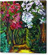 Arboretum Canvas Print