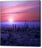 Arizona Sunrise Canvas Print