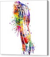 Arm Muscles Watercolor Anatomy Canvas Print