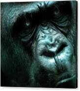 Art - Angry Gorilla Canvas Print