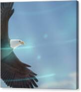 Art - Bird Of Freedom Canvas Print