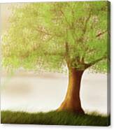 Art - Tree Of Life Canvas Print