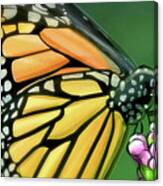 Art - Wonderful Butterfly Canvas Print