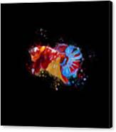 Artistic Nemo Multicolor Betta Fish Canvas Print