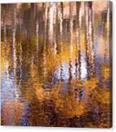 Aspen Reflection Canvas Print