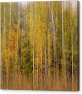 Aspenscape - Intentional Camera Motion Blur On Aspen Grove In Autumn Scene Canvas Print