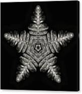 Asteroidea Polypodiophyta - Starfish Fern Creation Canvas Print