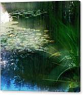 At Claude Monet's Water Garden 3 Canvas Print