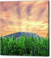 At Mt Fuji Canvas Print