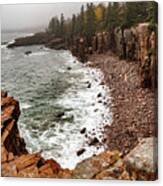 Atlantic Coast Acadia Np Canvas Print