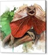 Australian Frilled Necked Lizard Canvas Print