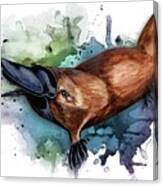 Australian Platypus Canvas Print