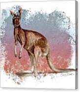 Australian Red Kangaroo Canvas Print