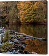 Automn Trees Reflection, La Sioule River Canvas Print