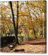 Autumn 150 Canvas Print