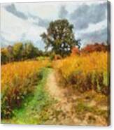 Autumn Afternoon On The Trail Canvas Print