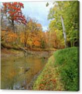 Autumn Along The Iroquois River Canvas Print