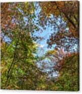 Autumn And Blue Sky Canvas Print