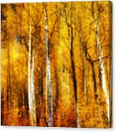 Autumn Aspens Painting Canvas Print