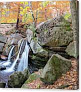 Autumn At Trap Falls Canvas Print