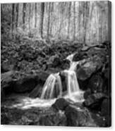 Autumn Cascades Of Amicalola Falls Black And White Canvas Print