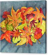 Autumn Collection Canvas Print