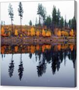 Autumn Color Reflection Canvas Print