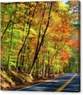 Autumn Colors Along A Road Canvas Print