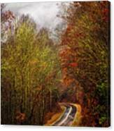 Autumn Curves In The Rain Canvas Print