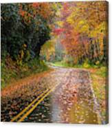 Autumn Drive Ii Canvas Print