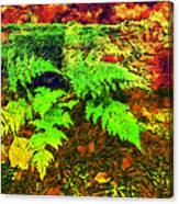 Autumn Fern And Mossy Log Fx Canvas Print