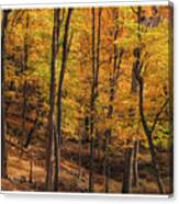 Autumn Forest Masking The Signature Series Canvas Print