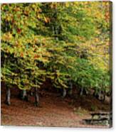 Autumn Forest Parkland. View Of Autumn Forest Park With Yellow Leaves On Trees. Fall Season Canvas Print