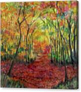 Autumn Forest Sunlight Canvas Print