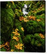 Autumn Glory At Emerald Falls In Columbia River Gorge In Oregon Usa Canvas Print