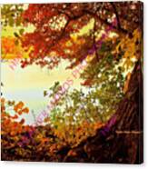 Autumn Glory Canvas Print