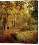 Autumn Glow On The Chase 2 Canvas Print