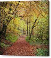 Autumn, In A Nutshell Canvas Print