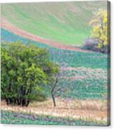 Autumn In South Moravia 9 Canvas Print