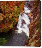Autumn In Tallulah Falls Canvas Print