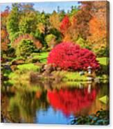 Autumn In The Asticou Azalea Gardens,  Aine Canvas Print