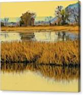 Autumn In The Backwaters Canvas Print