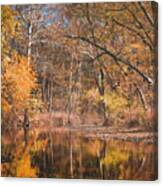 Autumn In The Ozarks Canvas Print